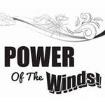 Power Of The Winds Bk 1 - Flute.
"Comprehensive Method for Band"
Each chapter covers a new musical concept.
Review section at the end of each chapter.
Specialized pages for each instrument.