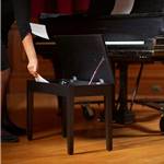 On-Stage KB8904B Deluxe Keyboard / Piano Bench Black.

- Flip-top seat provides a convenient storage space for sheet music and accessories.
- Thick cushion delivers long-lasting playing comfort.
- Seat is long enough to accommodate two players at once.
- Plastic feet glide smoothly for ease of positioning and protect floors from scratches.