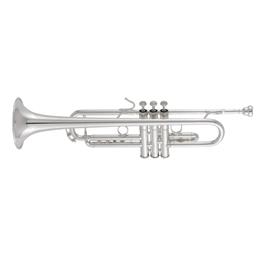 Bach Trumpet 170S43GYR Apollo