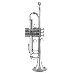BS3137 B&S Challenger Trumpet Silver