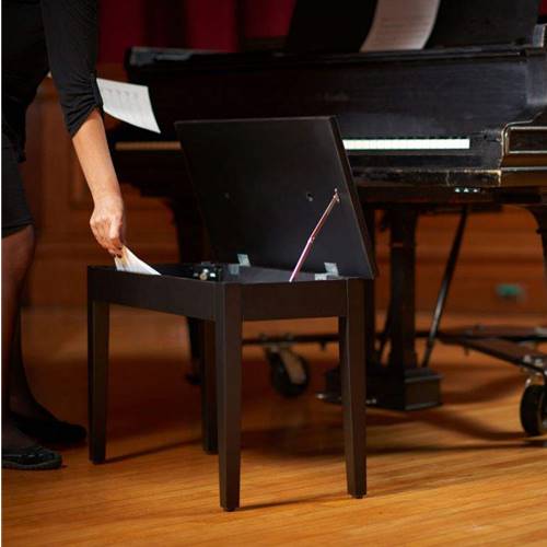 On-Stage KB8904B Deluxe Keyboard / Piano Bench Black.

- Flip-top seat provides a convenient storage space for sheet music and accessories.
- Thick cushion delivers long-lasting playing comfort.
- Seat is long enough to accommodate two players at once.
- Plastic feet glide smoothly for ease of positioning and protect floors from scratches.